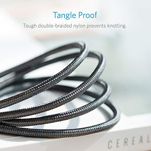 Anker PowerLine+ 3ft USB-C to USB-C 2.0 Connector Cable - Red (0.9m)