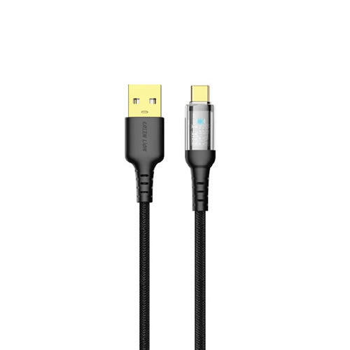 Green Lion Transparent LED Cable USB To Type-C - Black
